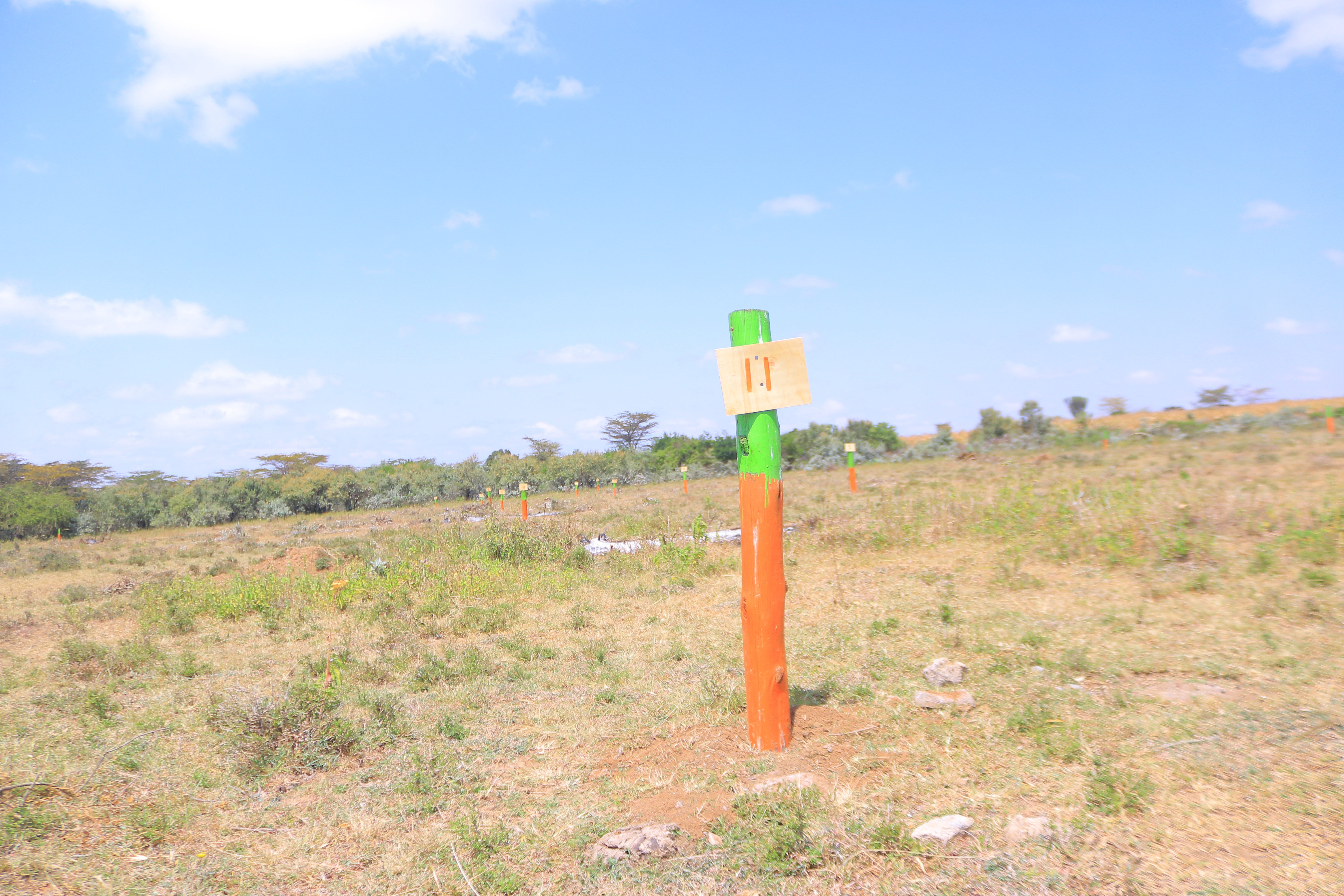 Amani Gardens Phase 7 Olerai Narok – neighbourhood surroundings